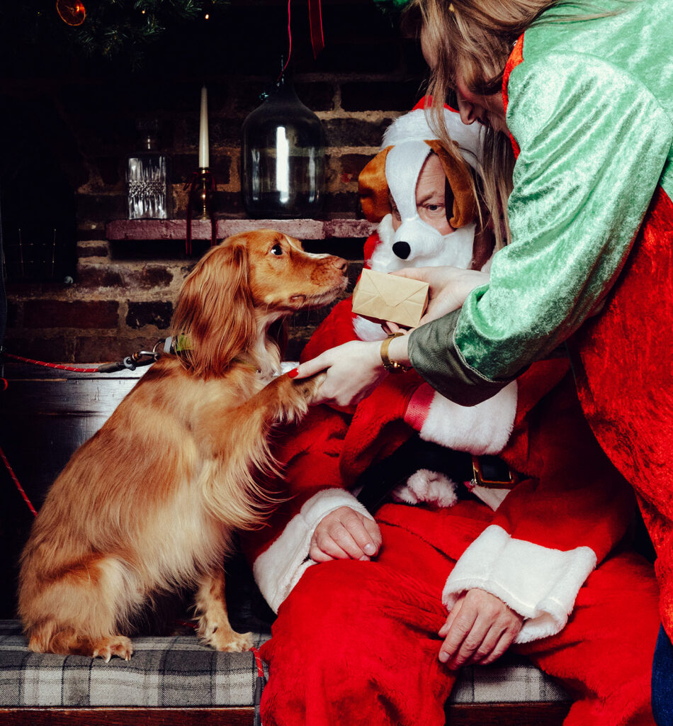 Santa Paws at The Lower Red Lion. Photo: Desneri Photography.
