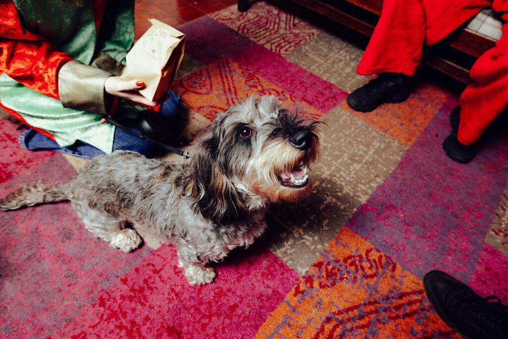 Santa Paws at The Lower Red Lion. Photo: Desneri Photography.