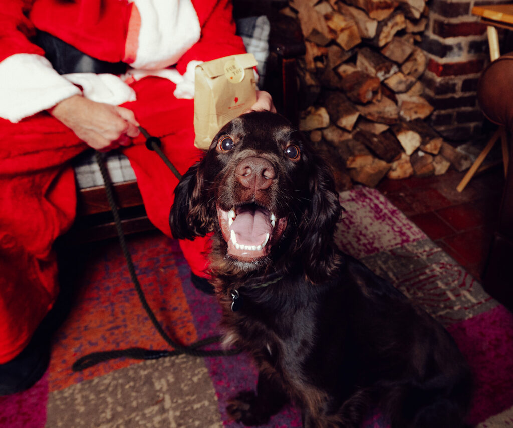 Santa Paws at The Lower Red Lion. Photo: Desneri Photography.