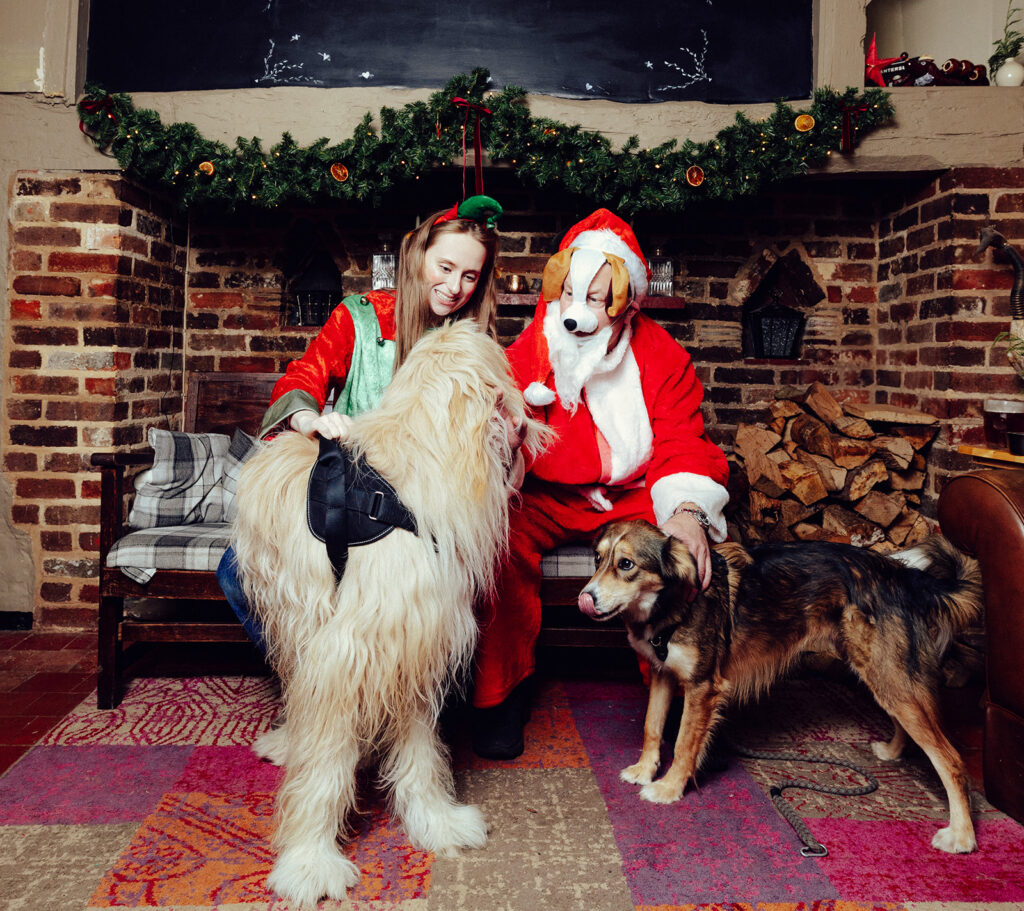 Santa Paws at The Lower Red Lion. Photo: Desneri Photography.