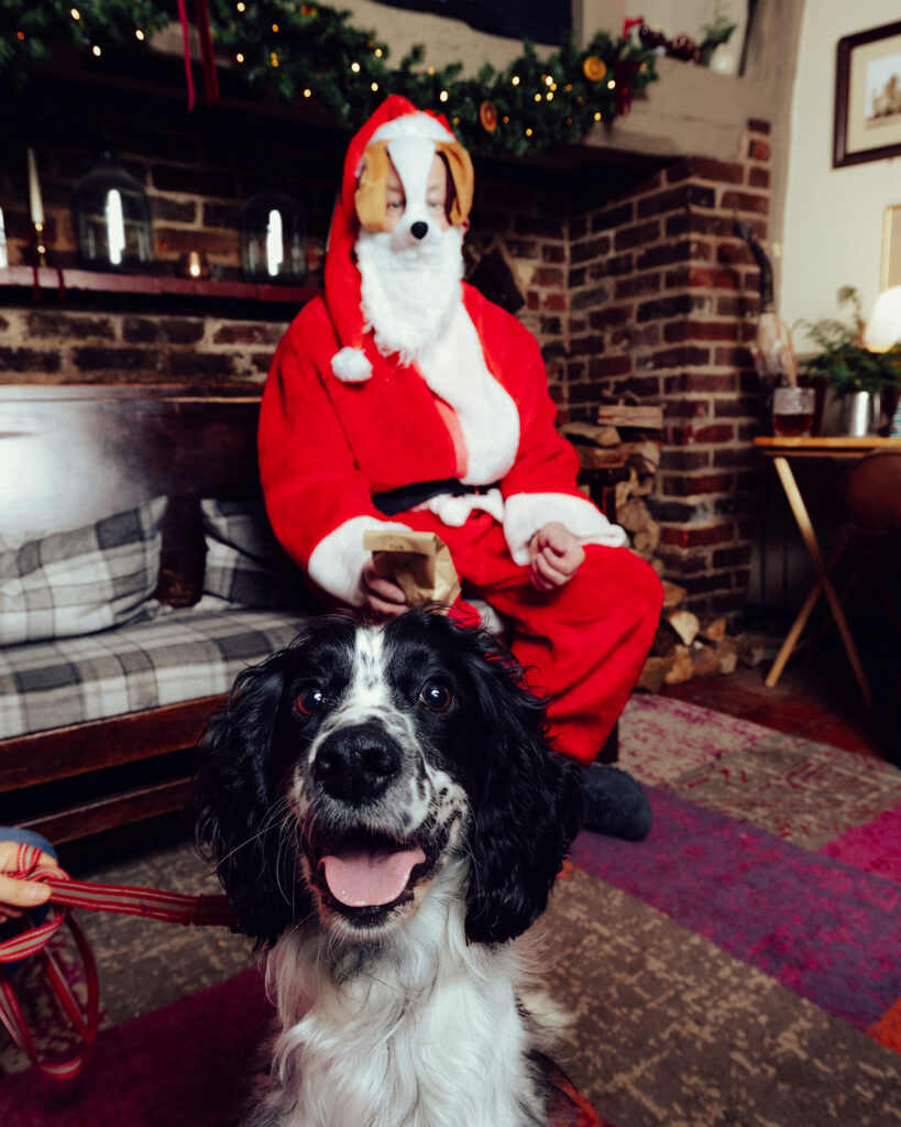 Santa Paws at The Lower Red Lion. Photo: Desneri Photography.