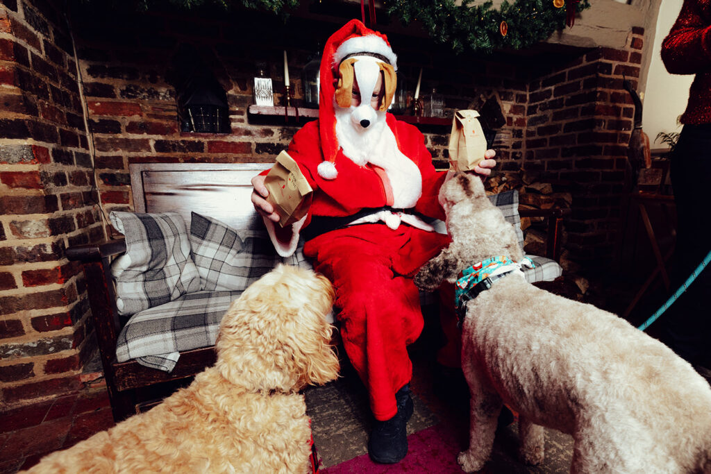 Santa Paws at The Lower Red Lion. Photo: Desneri Photography.