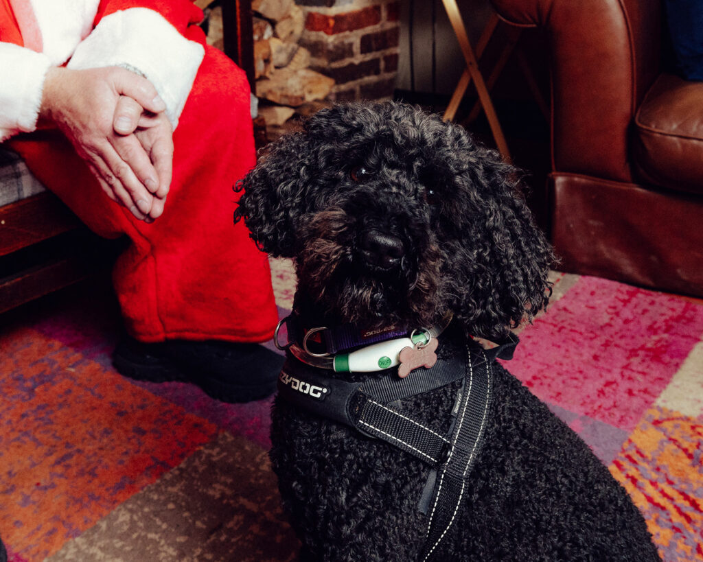 Santa Paws at The Lower Red Lion. Photo: Desneri Photography.
