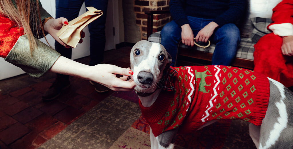 Santa Paws at The Lower Red Lion. Photo: Desneri Photography.
