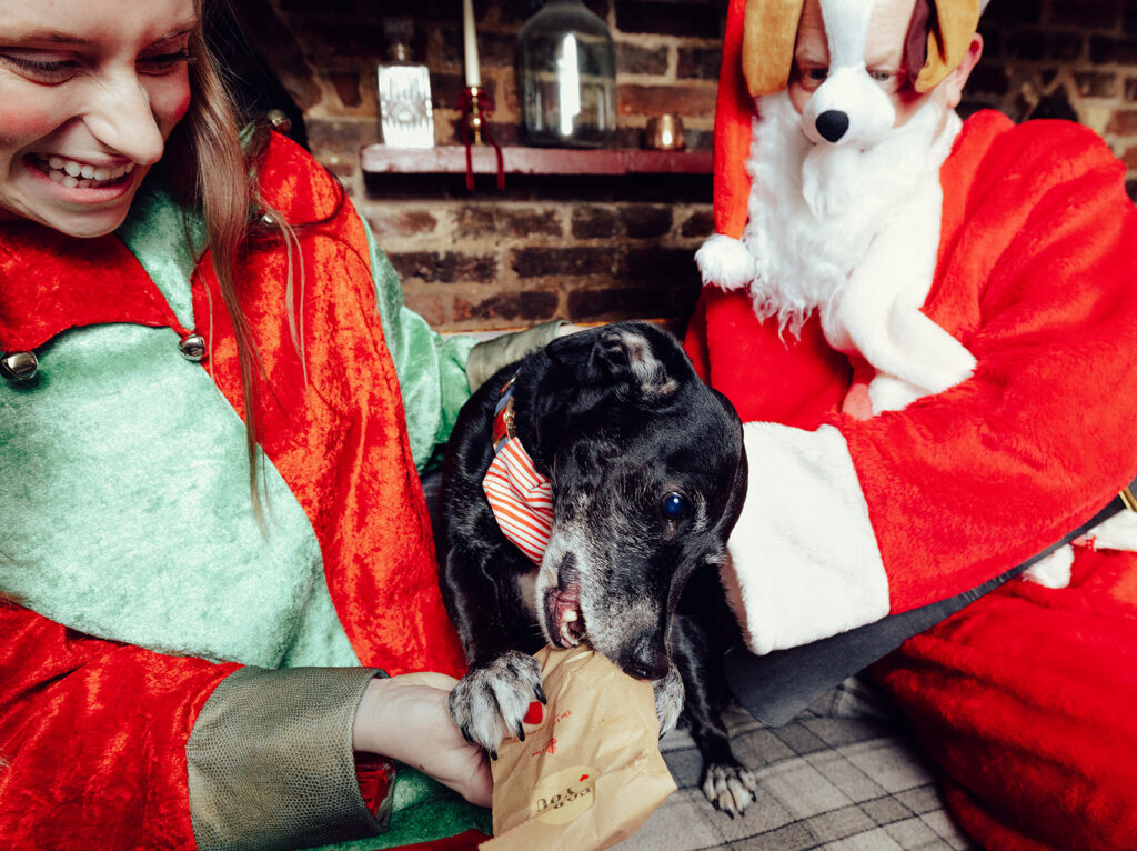Santa Paws at The Lower Red Lion. Photo: Desneri Photography.