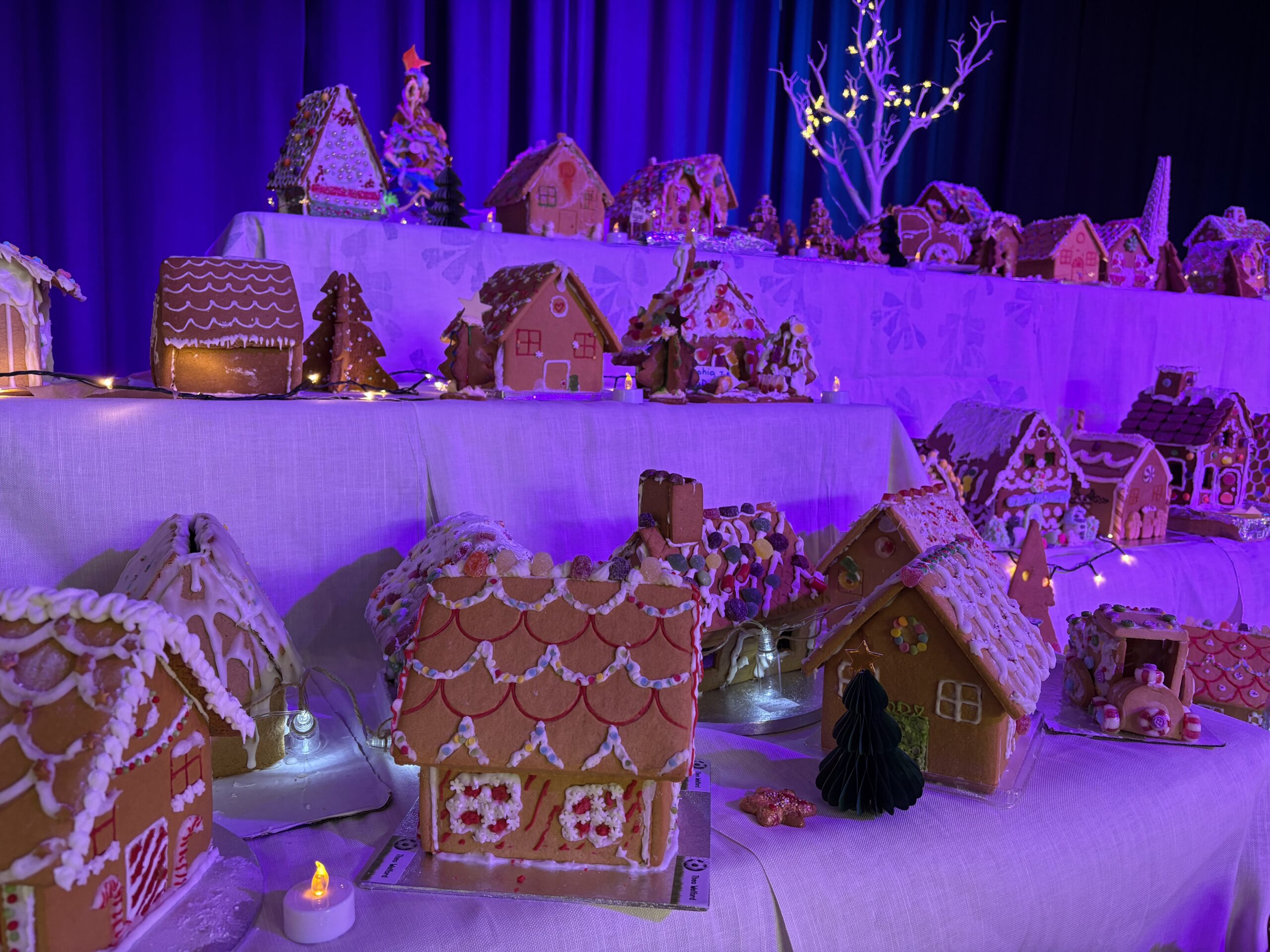 Bernards Heath Junior School's gingerbread village.