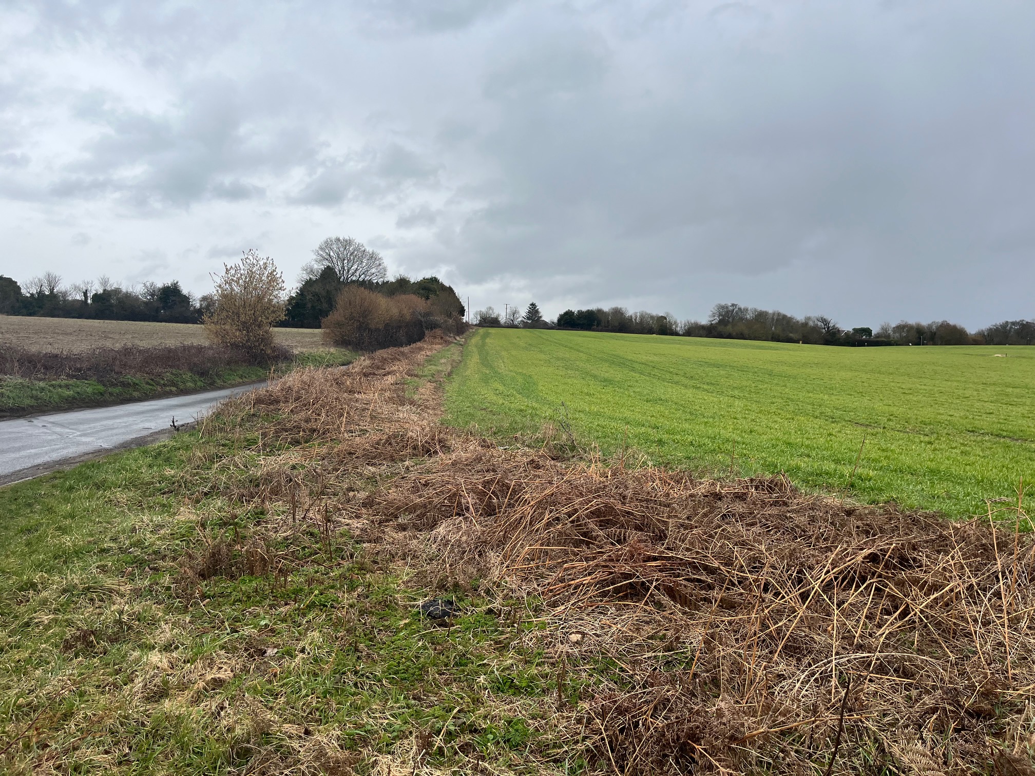 The proposed site of the north-west Harpenden development.