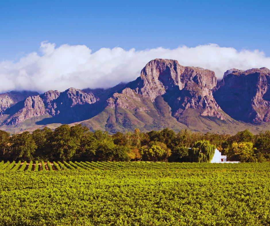 The Schapenberg hills.