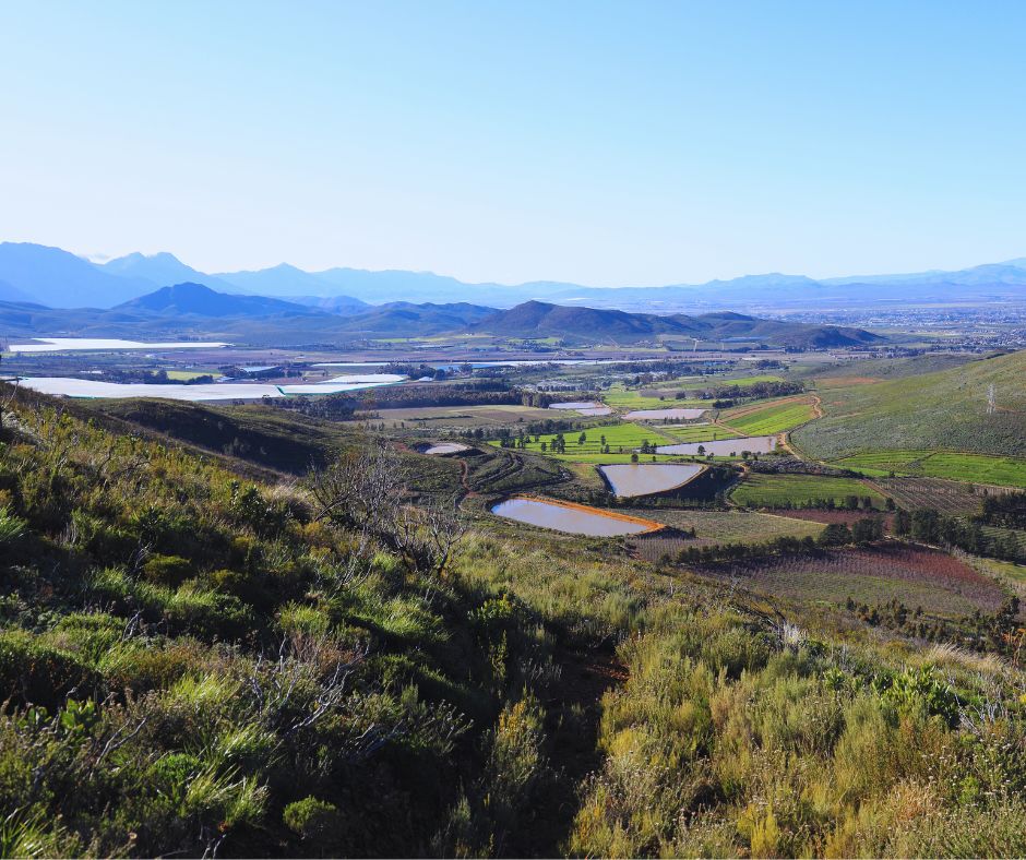 Breede River Valley