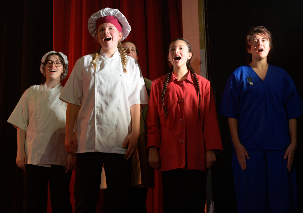 St Albans Gang Show 2025 - photo by Roger Morton.