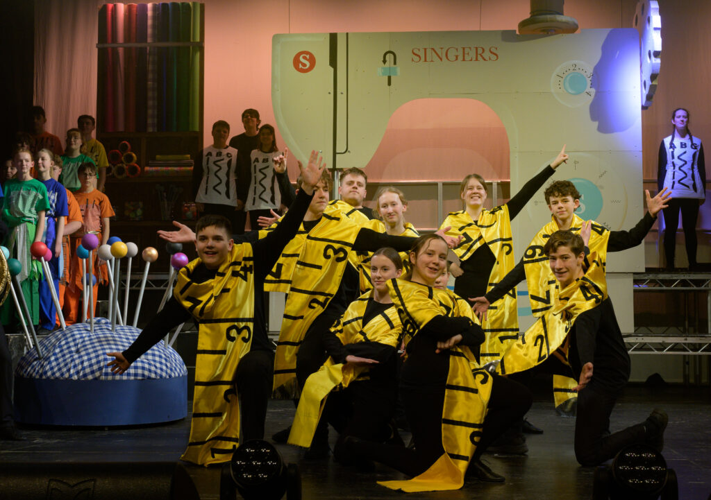 St Albans Gang Show 2025 - photo by Roger Morton.