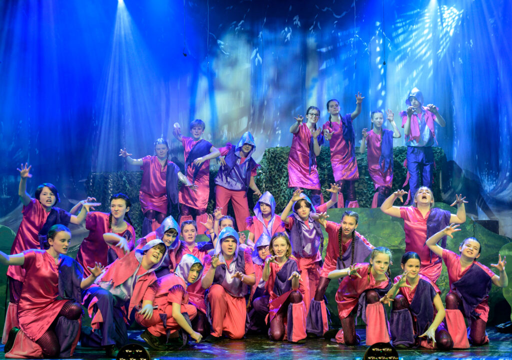 St Albans Gang Show 2025 - photo by Roger Morton.