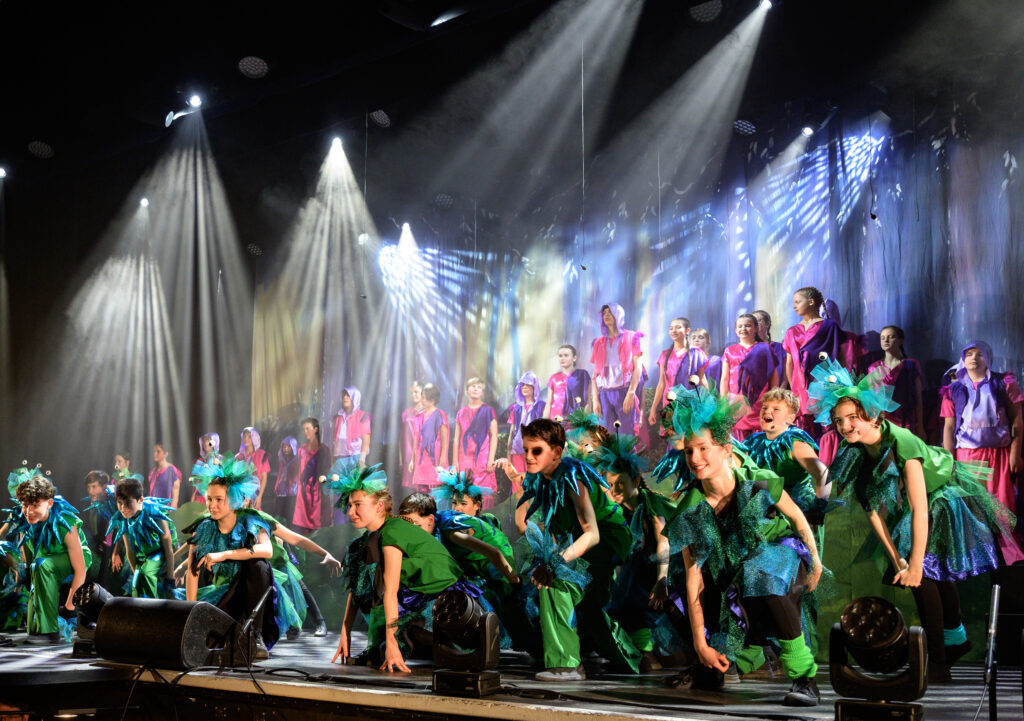 St Albans Gang Show 2025 - photo by Roger Morton.