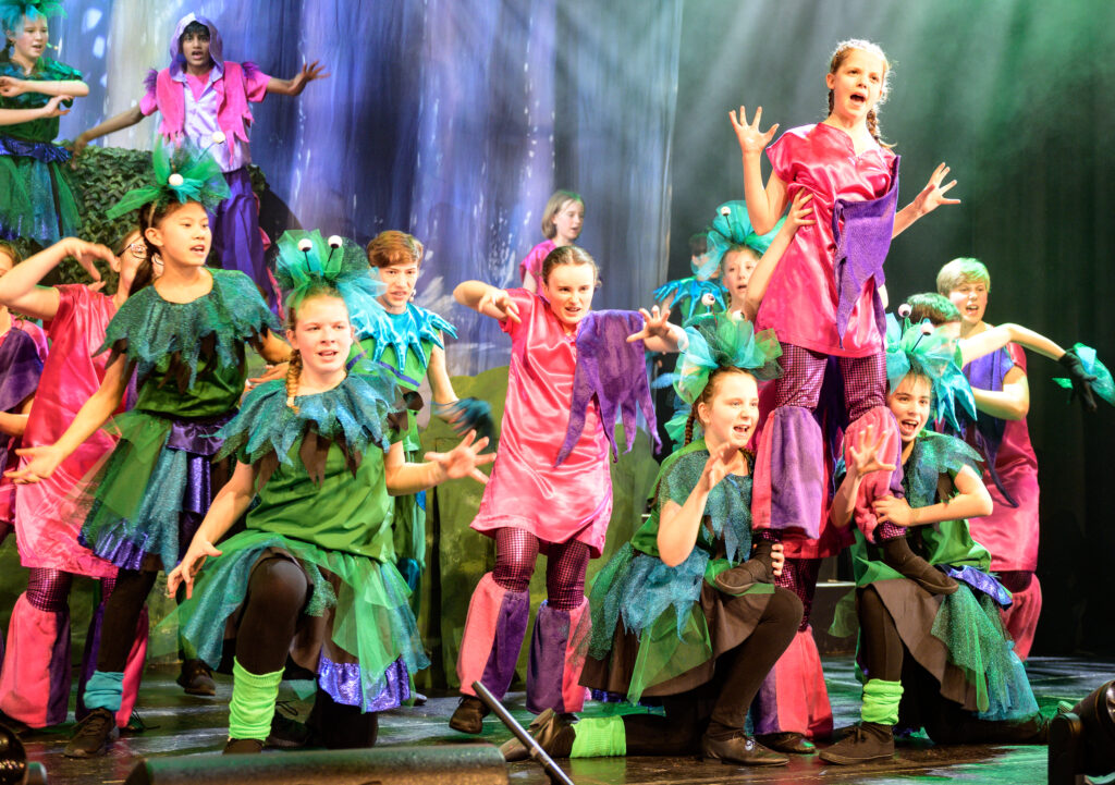 St Albans Gang Show 2025 - photo by Roger Morton.