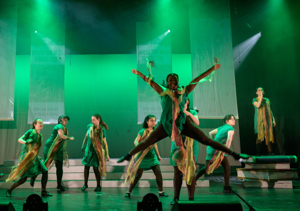 St Albans Gang Show 2025 - photo by Roger Morton.