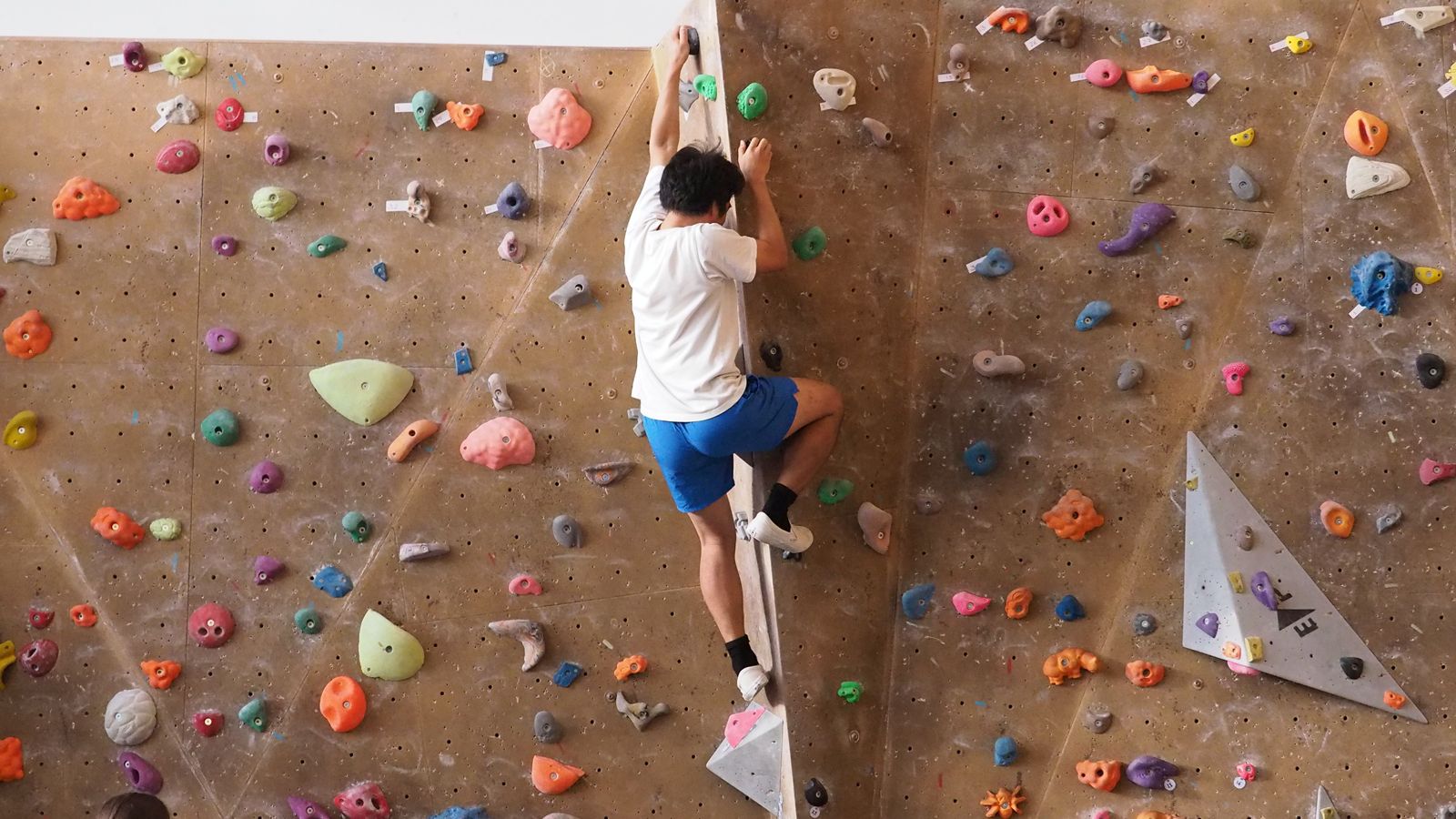 The climbing wall at Westminster Lodge.