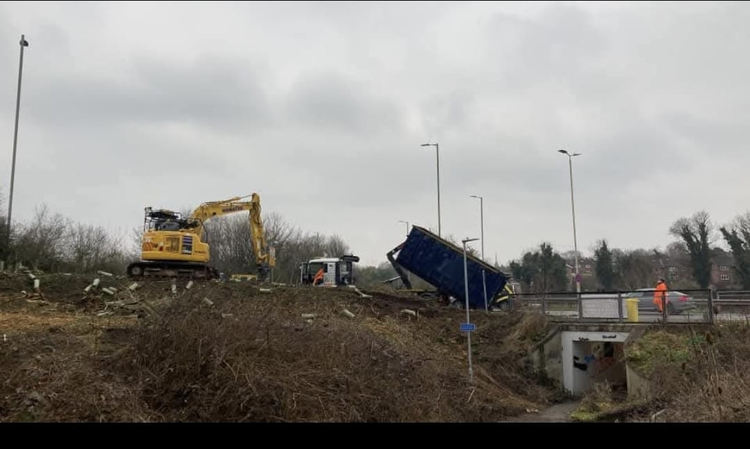 The destruction of trees and vegetation at Park Street roundabout.