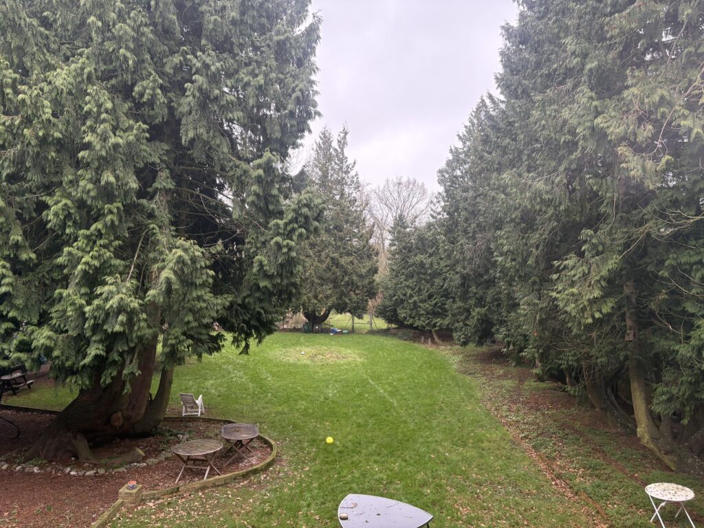 The gardens at Emmaus in St Albans.