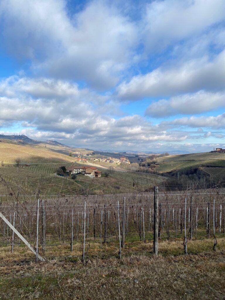 Piedmont