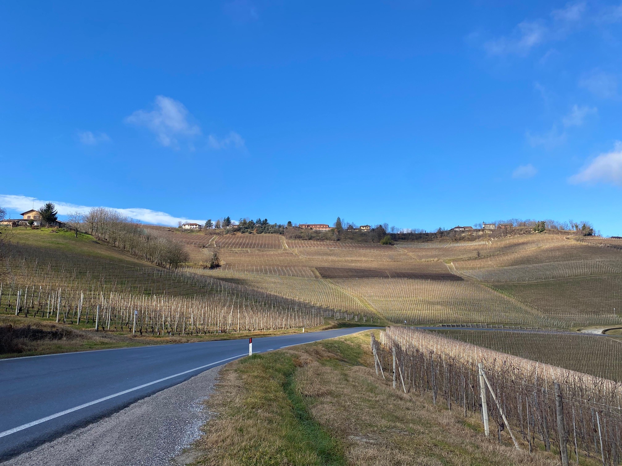 Piedmont