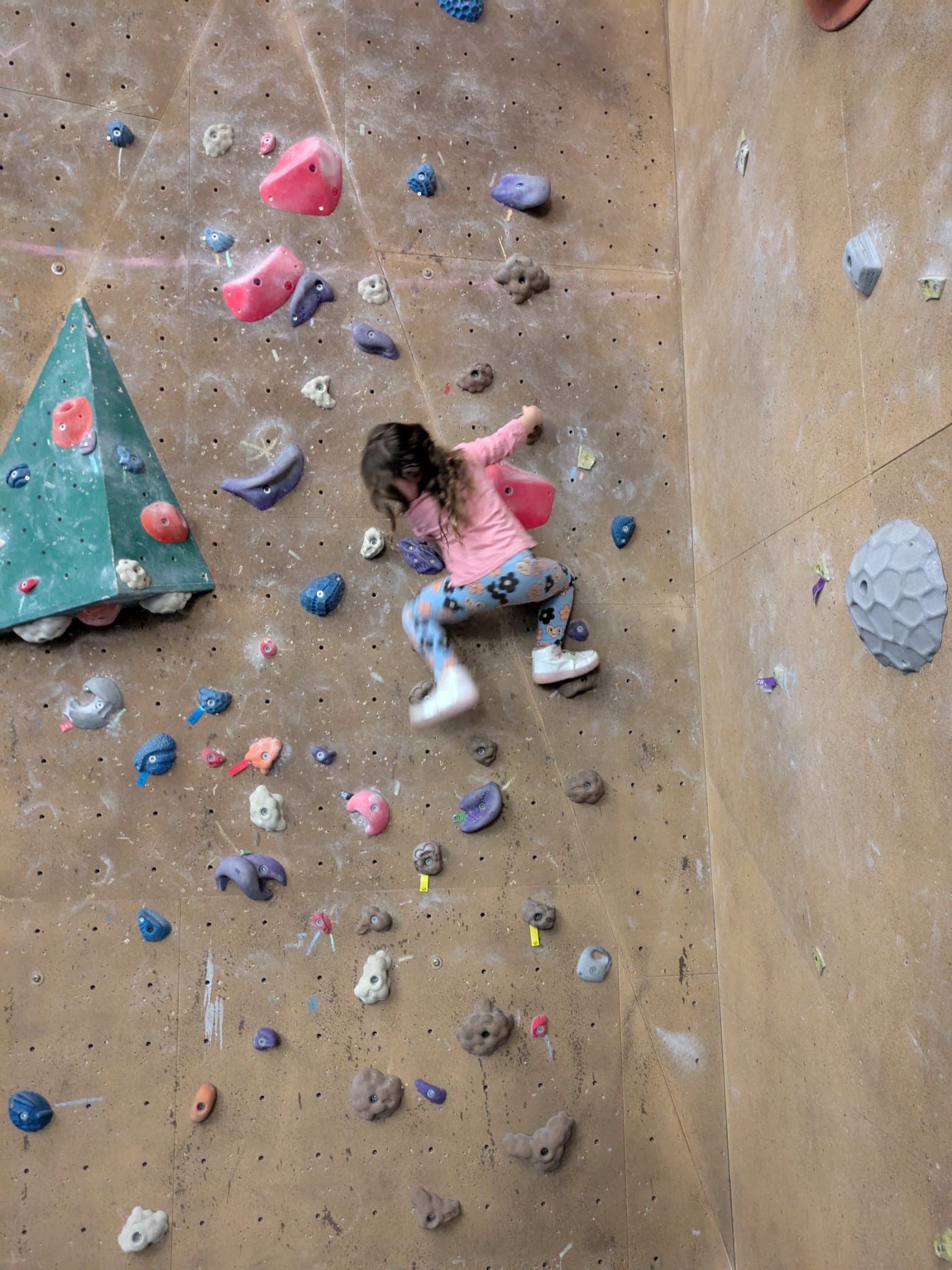 The climbing wall at Westminster Lodge.