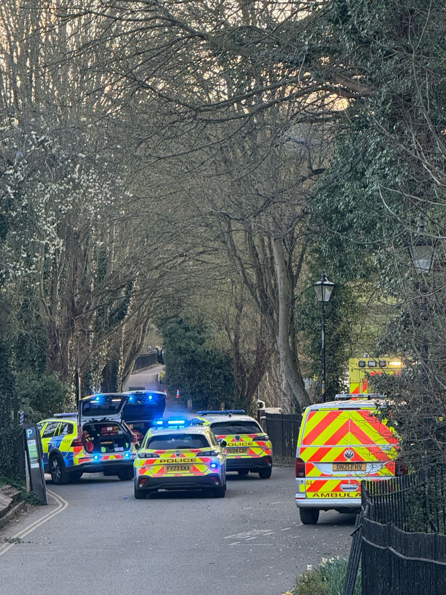 Police at the scene at Verulamium Lake.