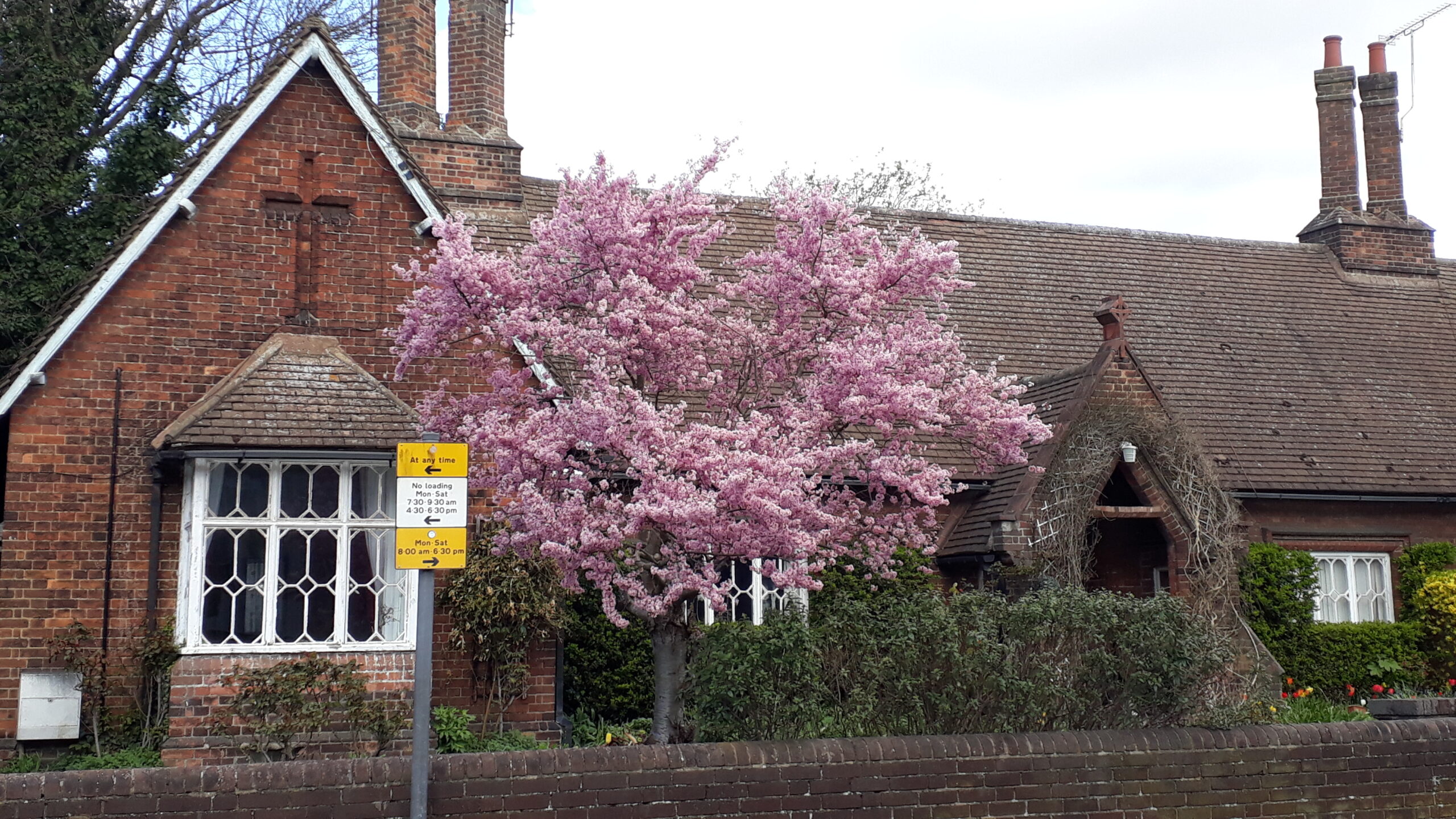 St Peter's Road almshouses