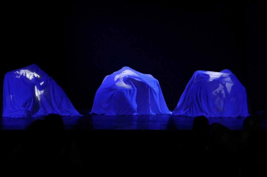 Shadows of the Stage performed by Marlborough Science Academy's Drama Company.