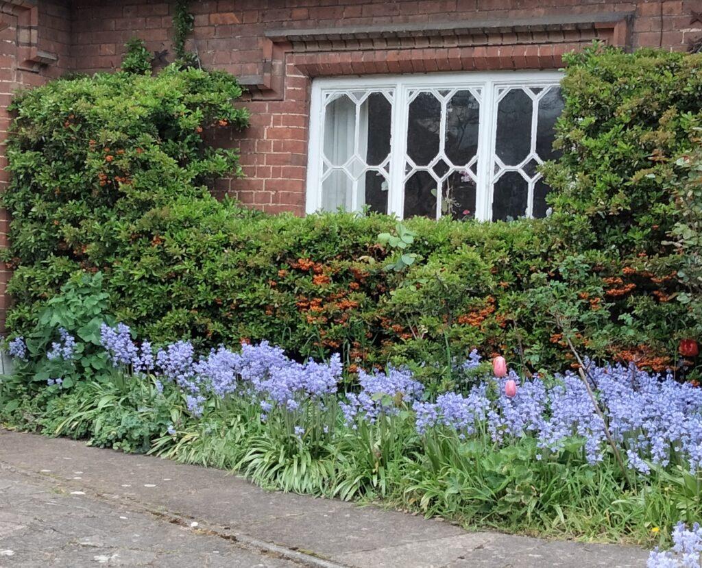 St Peter's Road almshouses