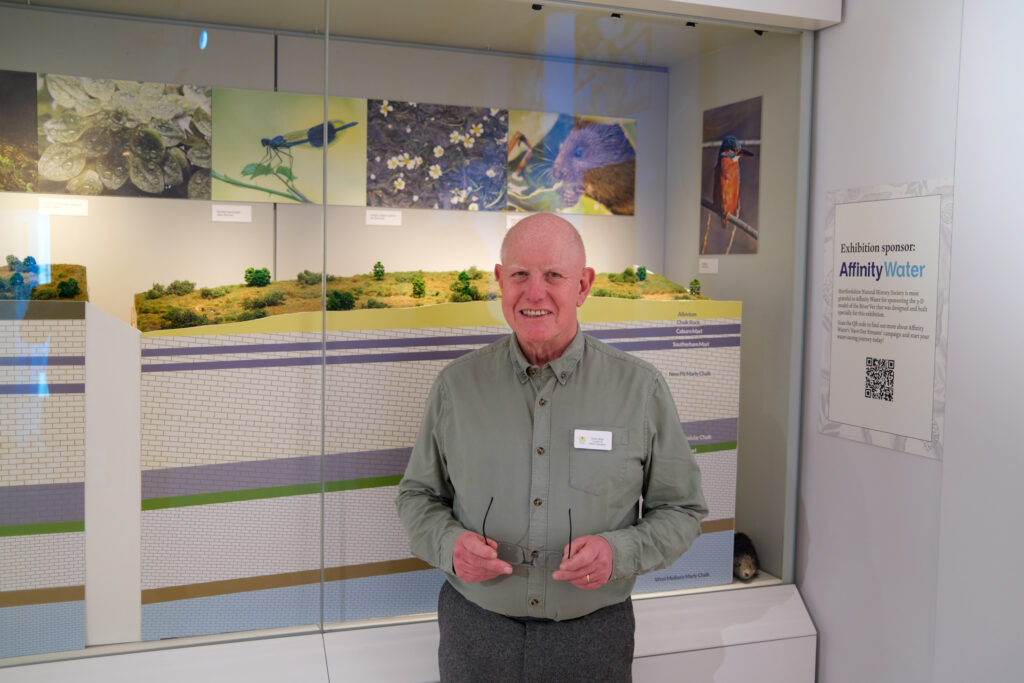 Wild about Hertfordshire exhibition at St Albans Museum + Gallery. Photo: Ellie McCormick for St Albans Museums