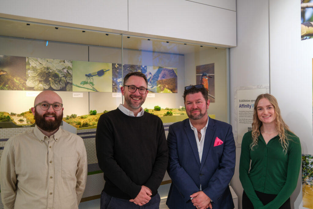 Wild about Hertfordshire exhibition at St Albans Museum + Gallery. Photo: Ellie McCormick for St Albans Museums