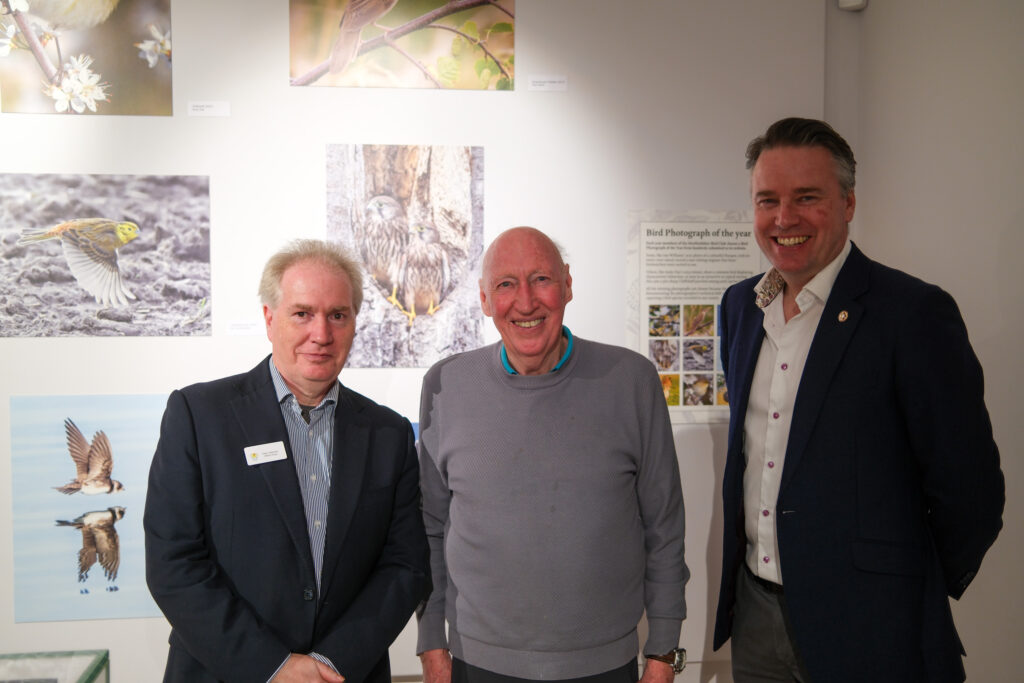 Wild about Hertfordshire exhibition at St Albans Museum + Gallery. Photo: Ellie McCormick for St Albans Museums