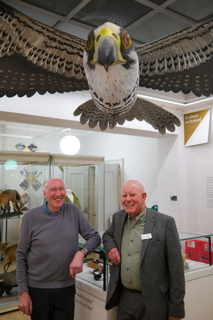 Wild about Hertfordshire exhibition at St Albans Museum + Gallery. Photo: Ellie McCormick for St Albans Museums