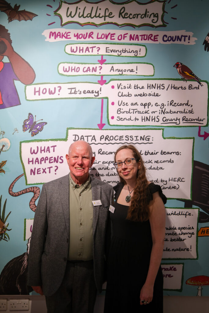 Wild about Hertfordshire exhibition at St Albans Museum + Gallery. Photo: Ellie McCormick for St Albans Museums
