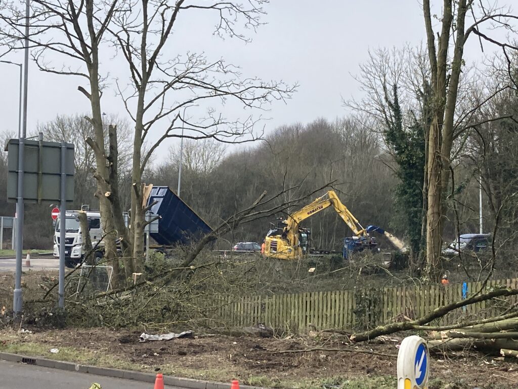 Diggers clearing vegetation at Park Street roundabout.