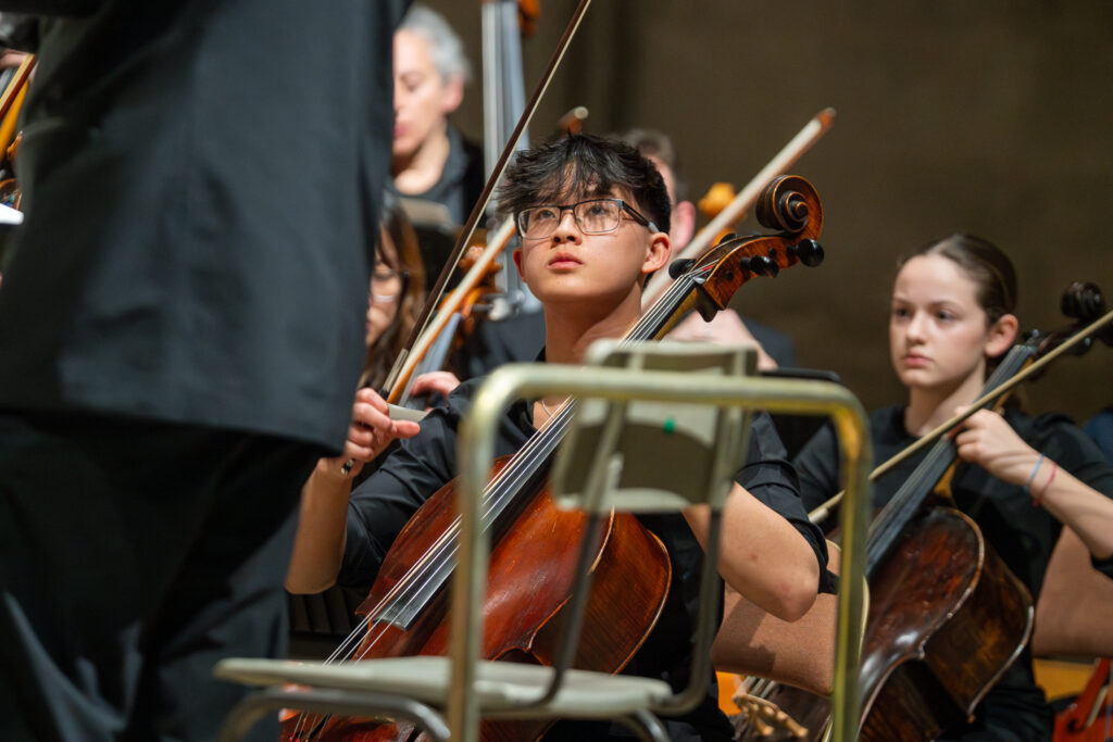 The Joint Schools Concert at St Albans Cathedral