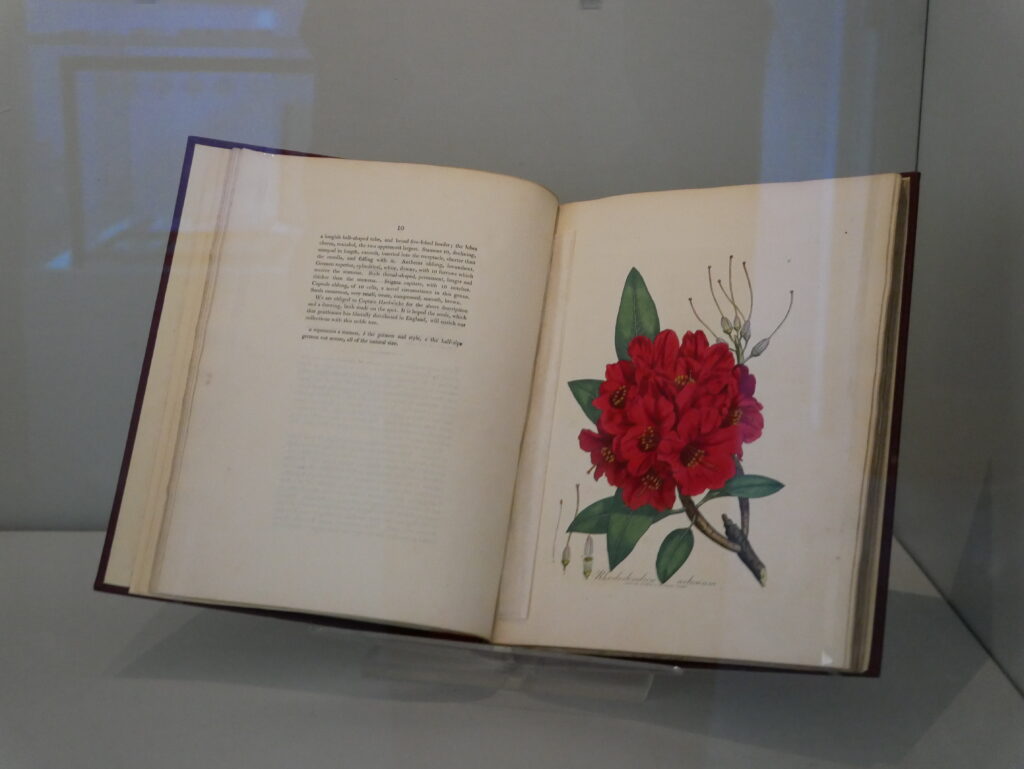 Wild about Hertfordshire exhibition at St Albans Museum + Gallery. Photo: Ellie McCormick for St Albans Museums