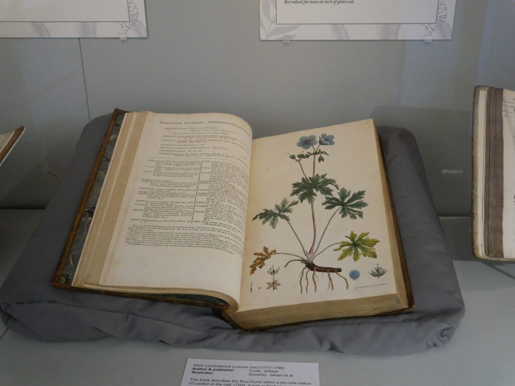 Wild about Hertfordshire exhibition at St Albans Museum + Gallery. Photo: Ellie McCormick for St Albans Museums