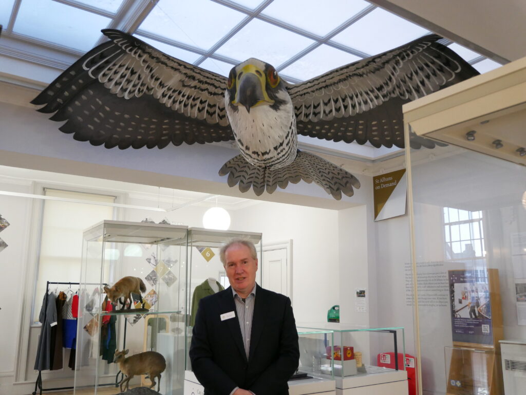 Wild about Hertfordshire exhibition at St Albans Museum + Gallery. Photo: Ellie McCormick for St Albans Museums