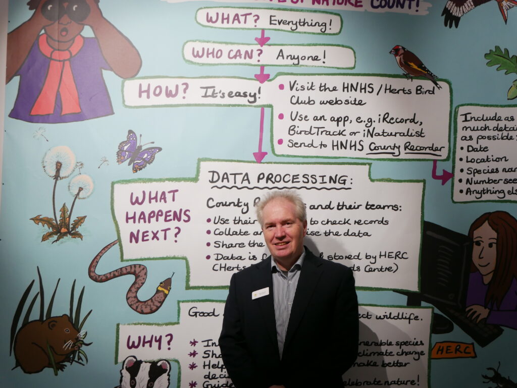 Wild about Hertfordshire exhibition at St Albans Museum + Gallery. Photo: Ellie McCormick for St Albans Museums