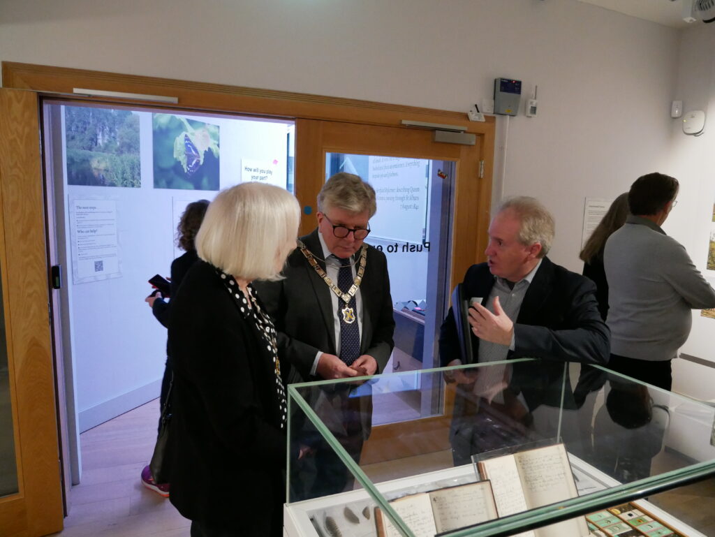 Wild about Hertfordshire exhibition at St Albans Museum + Gallery. Photo: Ellie McCormick for St Albans Museums