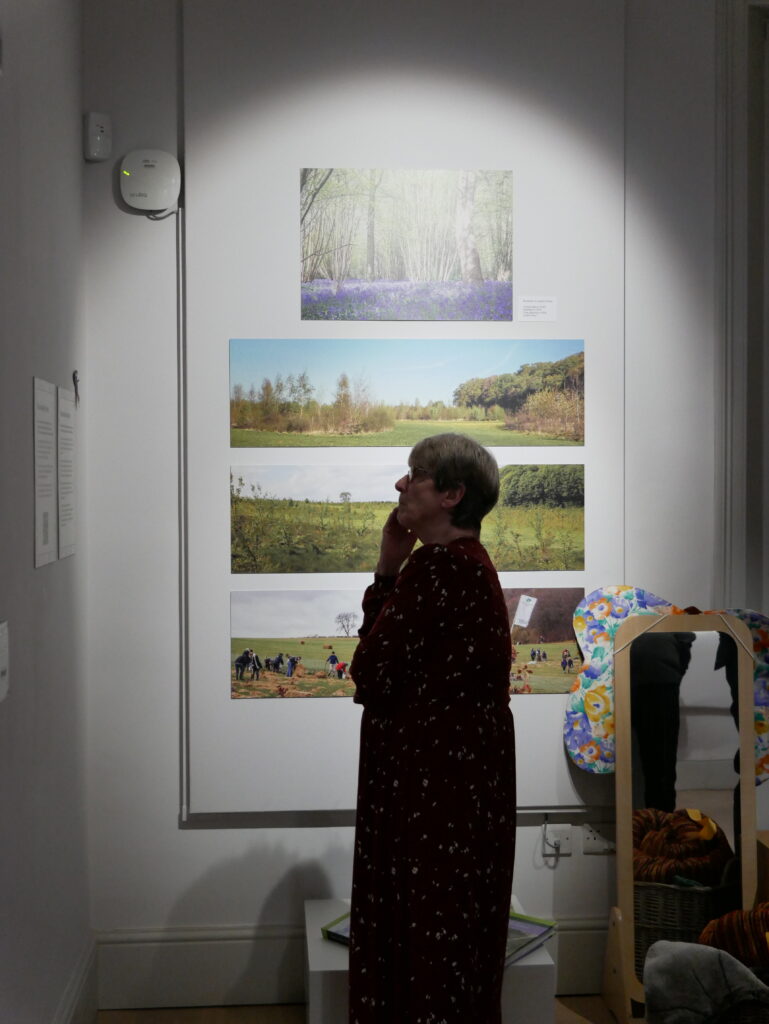 Wild about Hertfordshire exhibition at St Albans Museum + Gallery. Photo: Ellie McCormick for St Albans Museums
