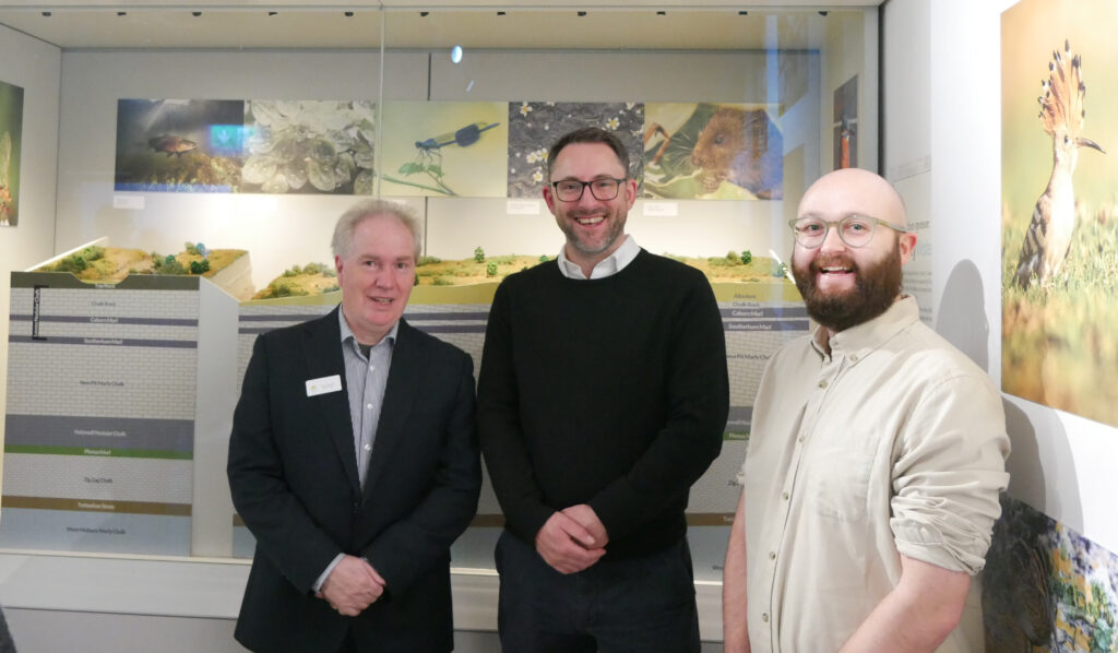 Wild about Hertfordshire exhibition at St Albans Museum + Gallery. Photo: Ellie McCormick for St Albans Museums