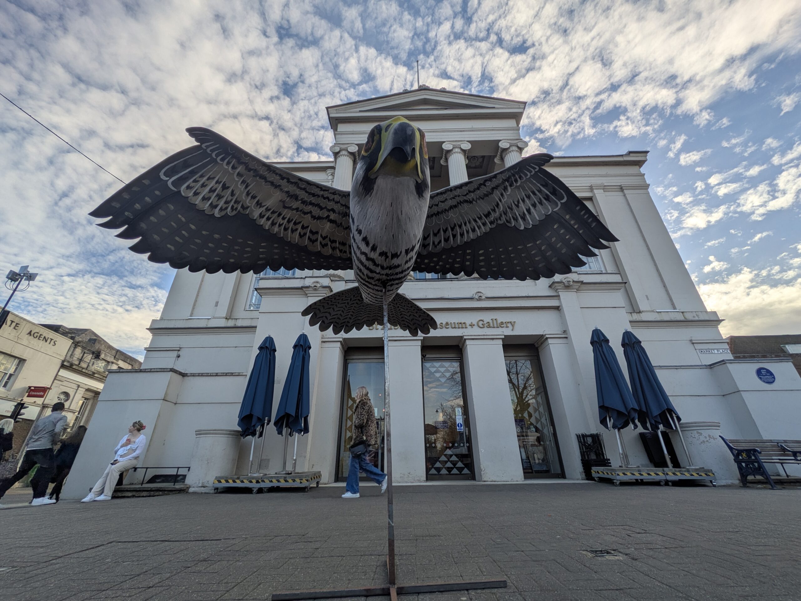 Wild about Hertfordshire exhibition at St Albans Museum + Gallery. Photo: Ellie McCormick for St Albans Museums