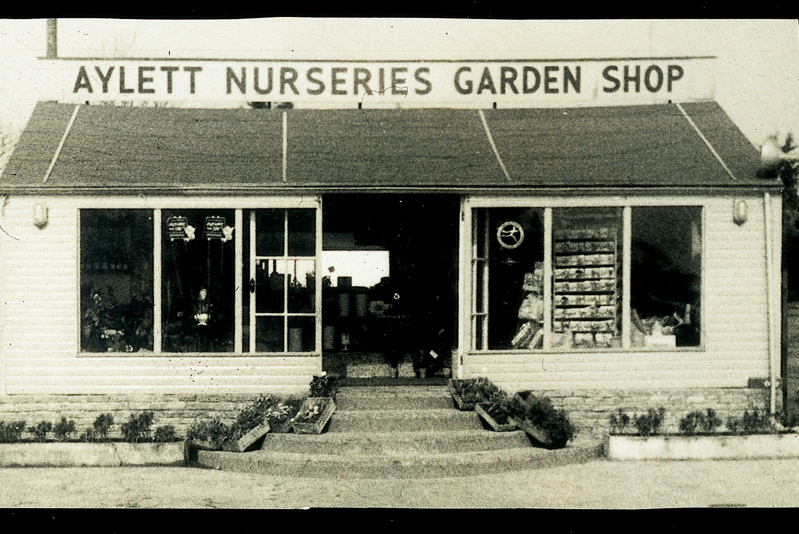Celebrating 70 years of Ayletts - St Albans Times