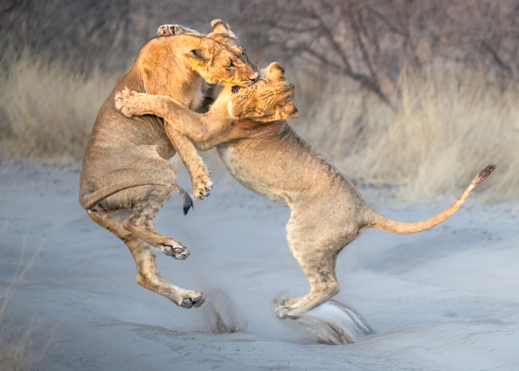 ADOLESCENT ANGER by Julie Cawthorpe