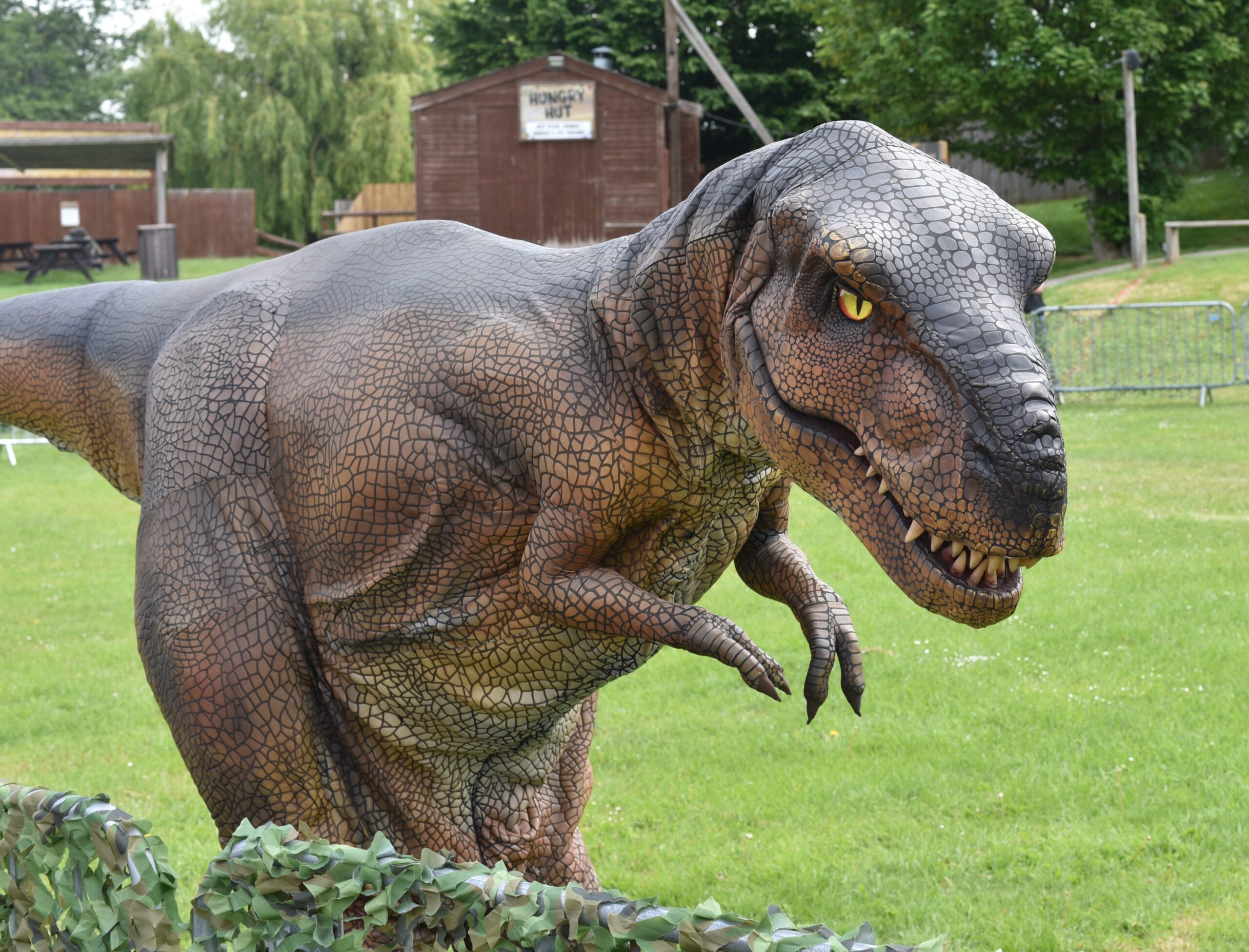 Dino Ventures at Willows Activity Farm