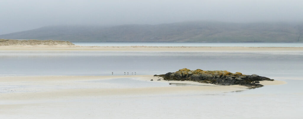 EMPTY BEACH by Greg Covington