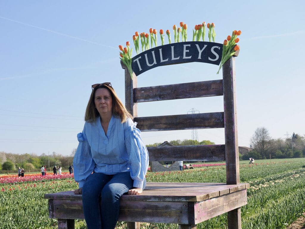 Tulleys Tulip Fields near Willows Activity Farm. Photo: John Andrews