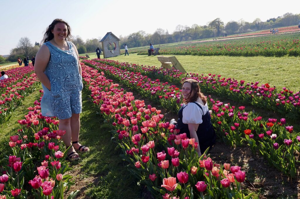 Tulleys Tulip Fields near Willows Activity Farm. Photo: John Andrews